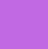 Purple (505)